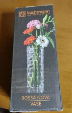 Nachtmann Bossa Nova Vase 16cmのサムネイル
