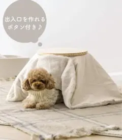 Item thumbnail for item 37fb5cd4-f8b8-4002-afb3-a813f0851980