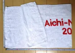 【非売品】愛知名古屋アジア大会 2026 スポーツタオル