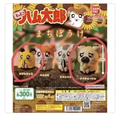 まちぼうけ　とっとこハム太郎　タイショーくん　ちび丸ちゃんセット