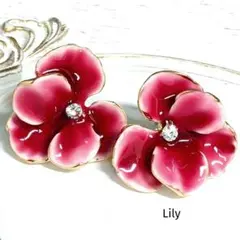 ✨ ボルドー 赤 胡蝶蘭 花 フラワー ピアス 레트로 アンティーク