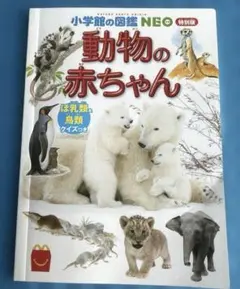 ハッピーセット】動物図鑑ネズミのなかまたちクイズ付き - メルカリ