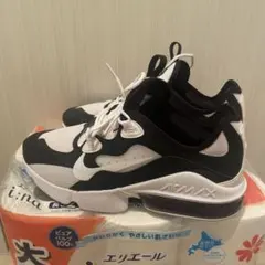 Nike Airmax Infinity2