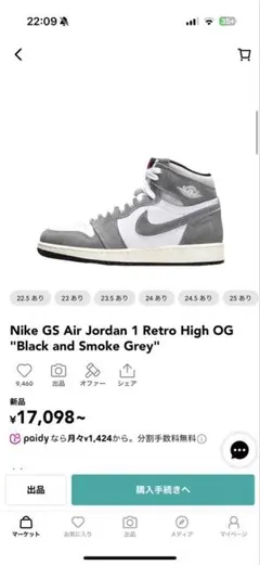 Nike Air Jordan 1 Retro High OG