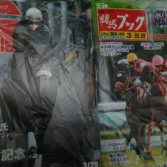 Item thumbnail for item 75fd7007-4ee8-4b11-a9bb-f77773c17042