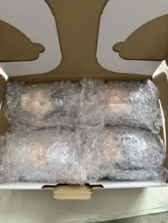 一番くじ　幽☆遊☆白書　F賞　ソフビくちゅ　コンプリートセット