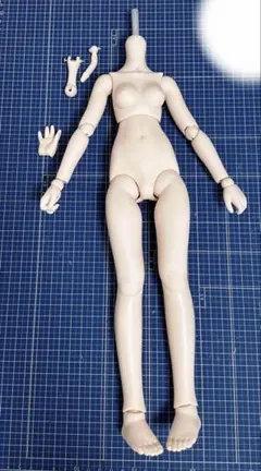 DOLLBOT DBCボディ(高可動タイプ)M胸 プラチナ肌 - メルカリ