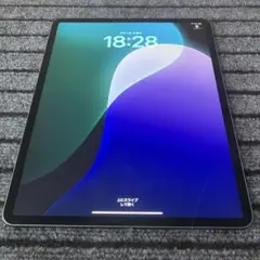 138【早い者勝ち】 iPad Pro 12.9 4世代 128GB グレイ