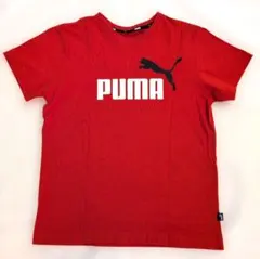 PUMA 赤 Tシャツ ロゴ入り150cm