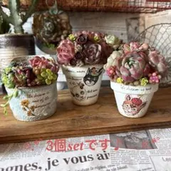 ❤︎cat friend❤︎そのまま飾れる多肉植物の寄せ植え♪ちまちまリメ鉢リメ缶