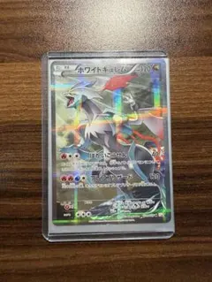 ブラックキュレム ホワイトキュレム 2枚セット R CP2 伝説キラ