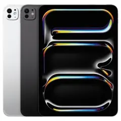 Apple iPad Pro 11インチ スペースグレー 本体　M4