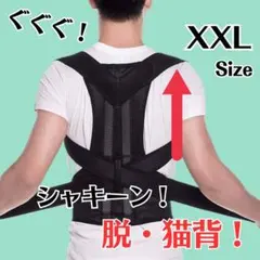 猫背 矯正ベルト 姿勢サポーター 姿勢矯正 腰痛改善 美姿勢 肩こり背筋 XXL