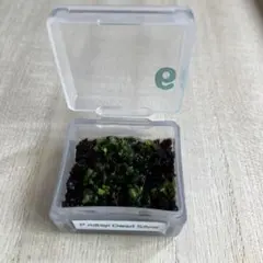 すー様 リクエスト 2点 まとめ商品