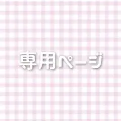 専用ページ