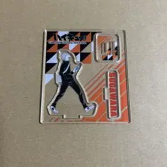 ハイキュー　アクリルフィギュアコレクション　第1弾　烏野高校　菅原孝支