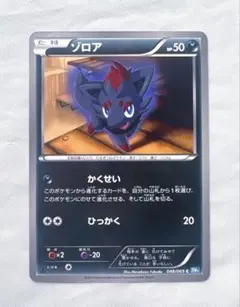 ◎ポケモンカード ゾロア 041/059 C XY8◎ - メルカリ