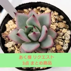 あく様 リクエスト 3点 まとめ商品