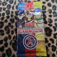 遊戯王OCG DUEL ACADEMIA SELECTION