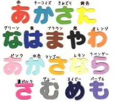 るぅ♡様専用★ひらがなのノーマルフェルトアイロンワッペン