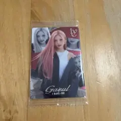 IVE Iウエハース2 ガウル