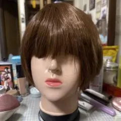 Item thumbnail for item 44dd1b85-8571-478e-80b8-6068f593d42f