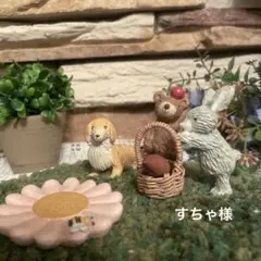 すちゃ様　専用です。