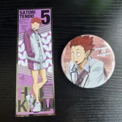 ハイキュー!!天童覚グッズ