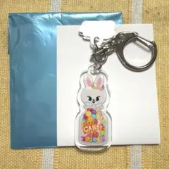 Stray Kids SKZOO アクリルキーホルダー リービット リノ　スキズ