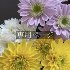 とこ丸くん☺︎様 リクエスト 2点 まとめ商品