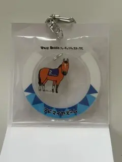 新品未使用　ウェルカムチャンス アクリルキーホルダー アドマイヤズーム