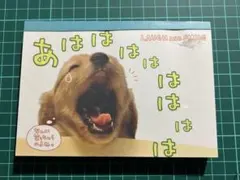 平成レトロ メモ帳 犬 サンエックス