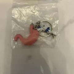 胃カメラ 内視鏡 臓器 手作り キーホルダー - メルカリ