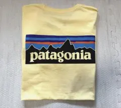 patagonia✴︎メンズS✴︎イエロー✴︎Tシャツ✴︎バックプリント