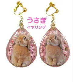 Item thumbnail for item 4ae81f3a-bdfe-4e13-a43e-ca6f4d1689ad