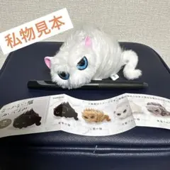 なつかない猫 ぬいぐるみ 大家さんの猫