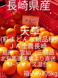 ままび様専用10kg