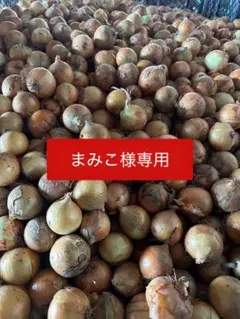 玉ねぎ まみこ様専用