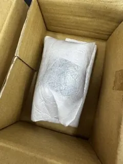 Item thumbnail for item 667627e5-d5b9-48ca-8c8b-c25b41d369d7