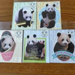 〓新品未使用〓上野動物園　【シャンシャン】ステッカー5種類 2026年最新】上野動物園 シャンシャン ステッカーの人気アイテム