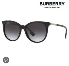 【ケース付き】BURBERRY b4333-f 30018g