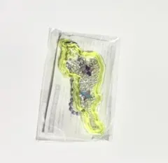 琵琶湖キーホルダー カプセルトイ