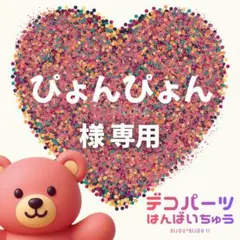 ぴょんぴょん様　専用ページ