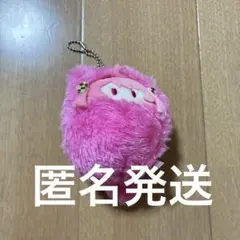 カラフルピーチ　のあ　くるみたぴぬいのサムネイル