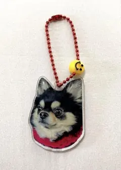 チワワ アクリルキーホルダー スマイルボール付き