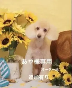 あや様専用