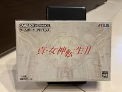 Item thumbnail for item 8426d021-52b1-459f-be55-9dff3f779a6e