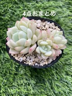 ❀るなこむ❀様 リクエスト 4点 まとめ商品