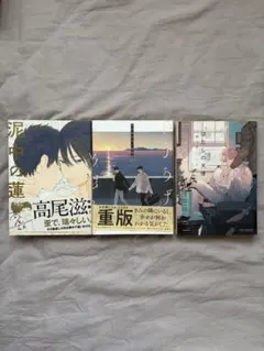 ボーイズラブ漫画3冊セット