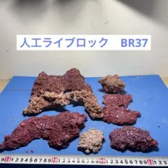 2026年最新】ライブロック 人工の人気アイテム - メルカリ